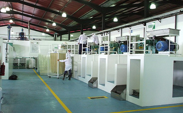 直條米粉生產（chǎn）線