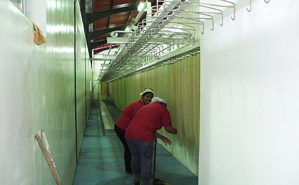 直條米粉生產線（xiàn）